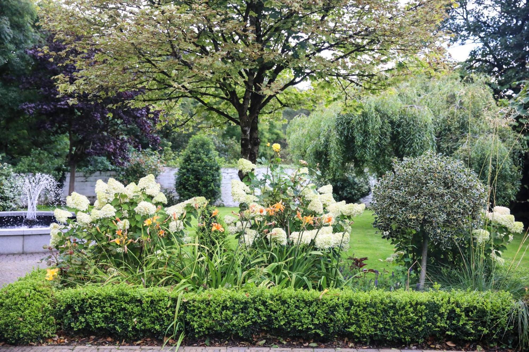 Conyngham Arms Hotel Slane Eksteriør bilde